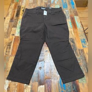 Crop Aviator Skinny Twill Mid-Rise Pant